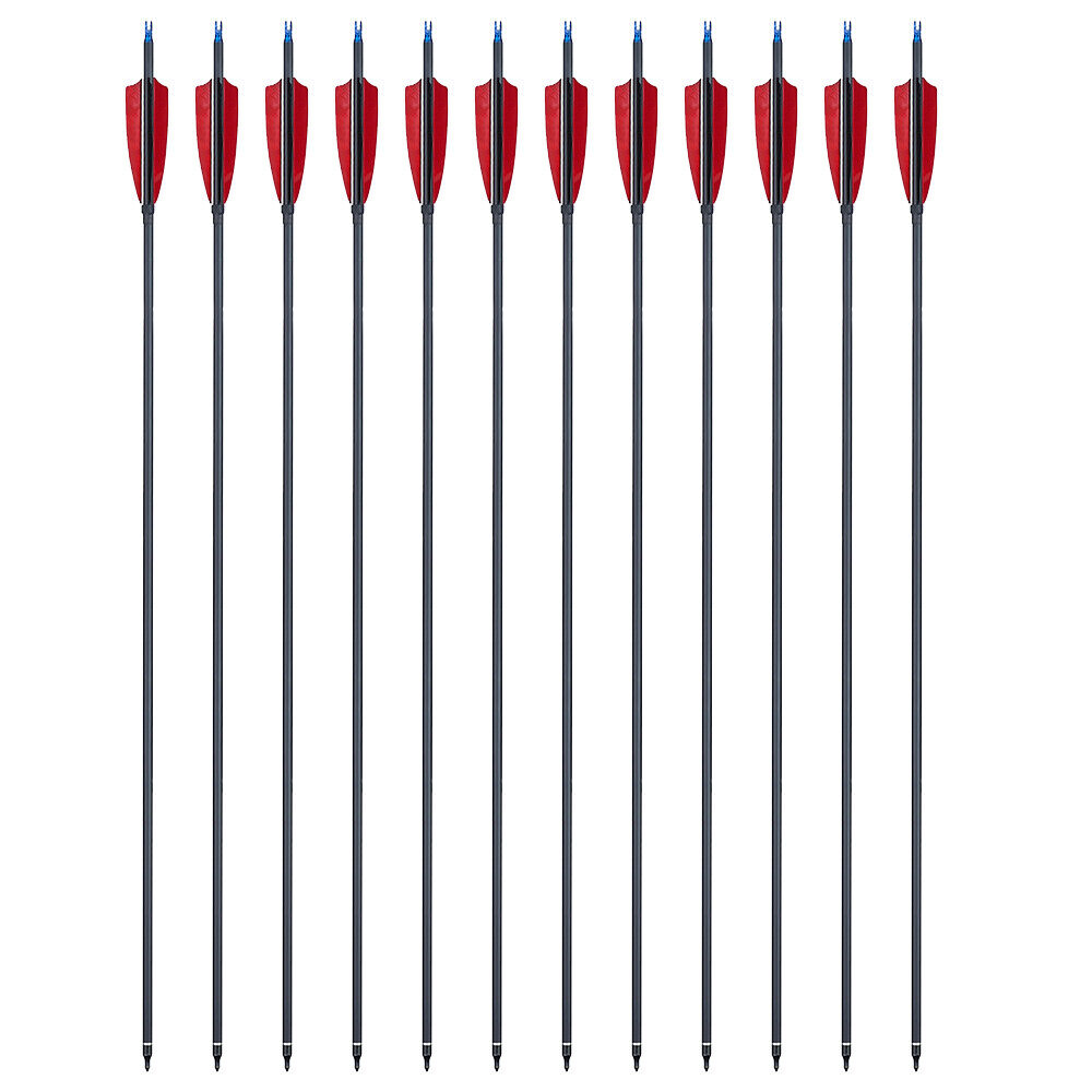 StoneSky 12Pcs 30" Carbon Shaft Arrows Spine 500 OD 7.6mm True Turkey Feathers Hunting