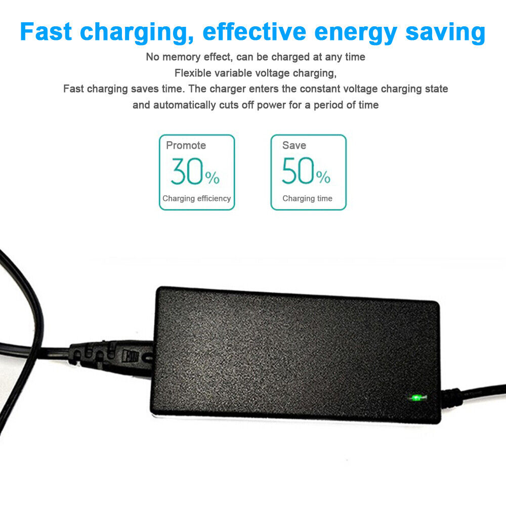 StoneSky For Ninebot Segway mini pro/mini lite Scooter Battery Charger Assembly 4 Holes