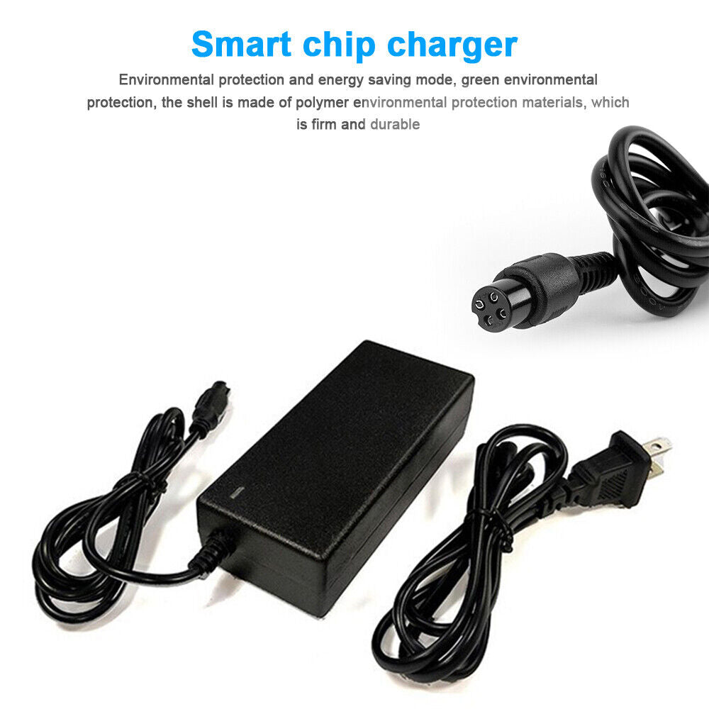 StoneSky For Ninebot Segway mini pro/mini lite Scooter Battery Charger Assembly 4 Holes