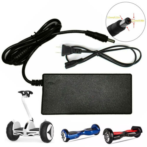 StoneSky Charger Power Adapter for 36V Electric Bike E-bike Scooter Li-ion Battery 42V 2A