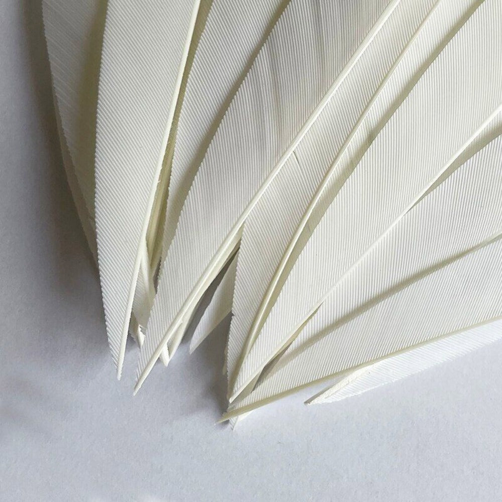 StoneSky 4" 5" White Natural Turkey Arrow Archery Feathers Shield Fletching Bow Arrow DIY