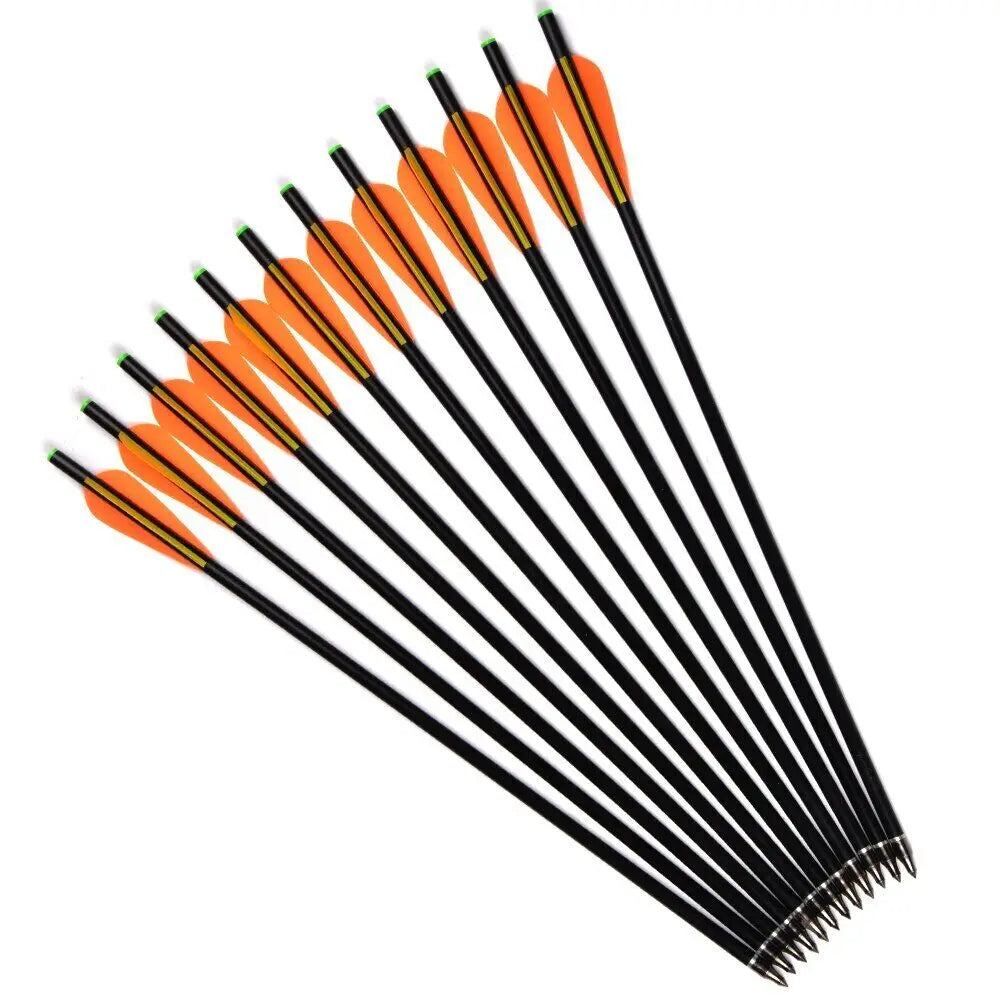 STONESKY 12Pcs 20'' Archery Hunting Fiberglass Crossbow Arrows OD 8mm w/Replaceable Tips for Hunting