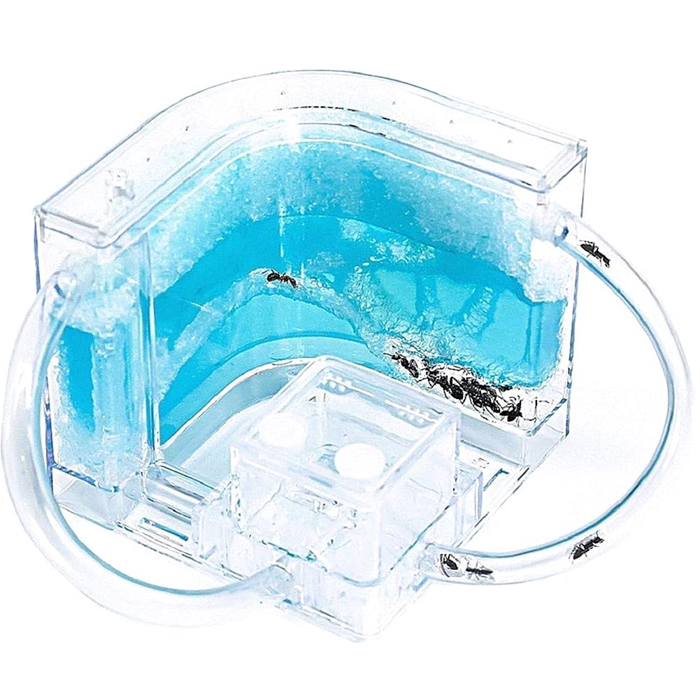 EROCK Ant Farm Castle Experiment Toy Ants Habitat Educational Toy Learning Science Kit;Ant Farm Castle Experiment Toy Ants Habitat Educational Toy