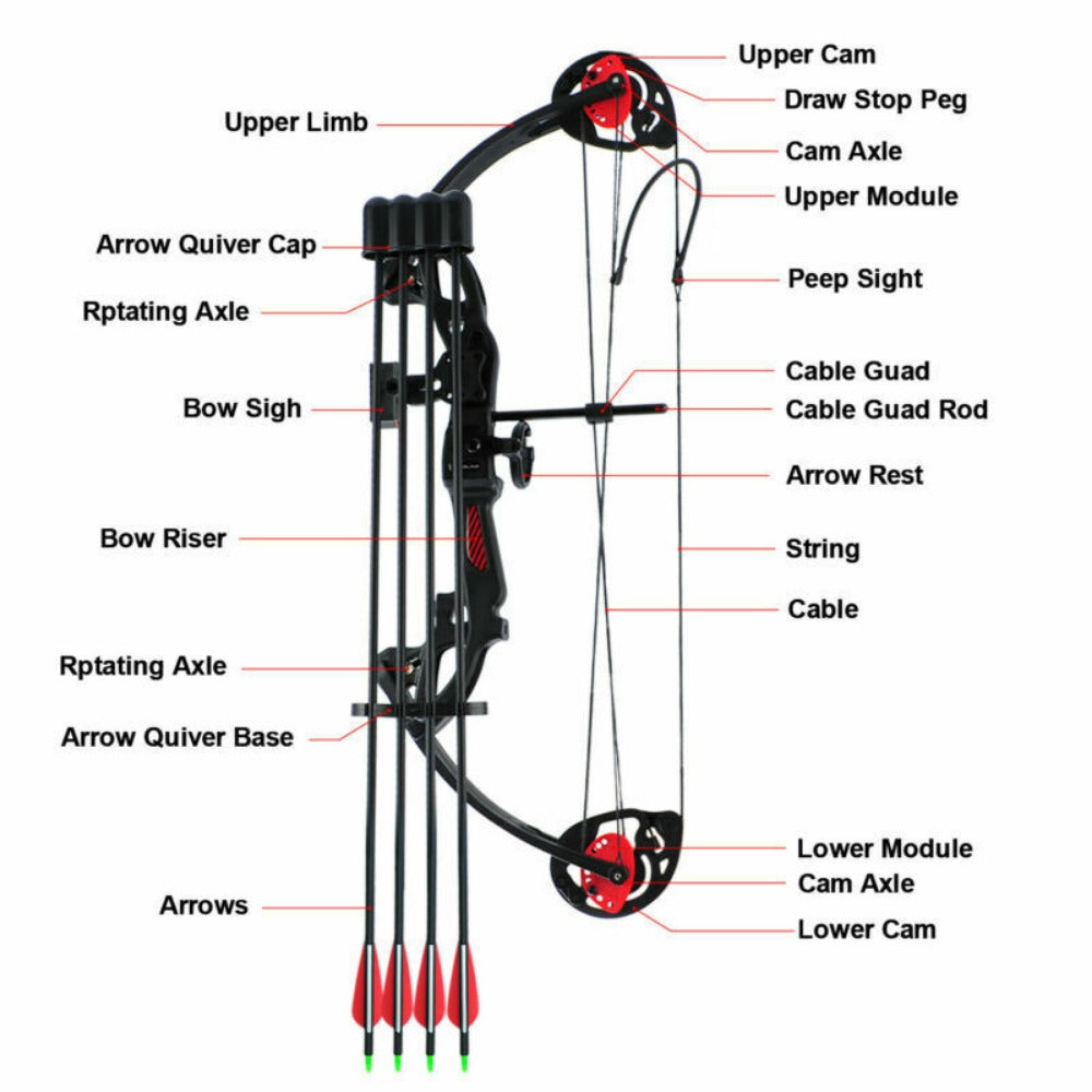 StoneSky 15-29lbs Compound Bow Kit W/4pcs Arrows Right Hand Target Practice Hunting Youth