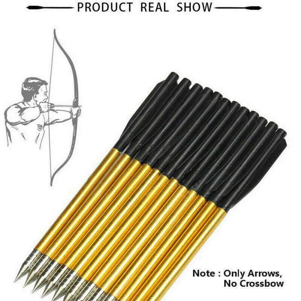 StoneSky 12X ALUMINUM METAL ARROWS BOLTS 50 & 80 lb PISTOL CROSSBOW ARCHERY HIGH QUALITY