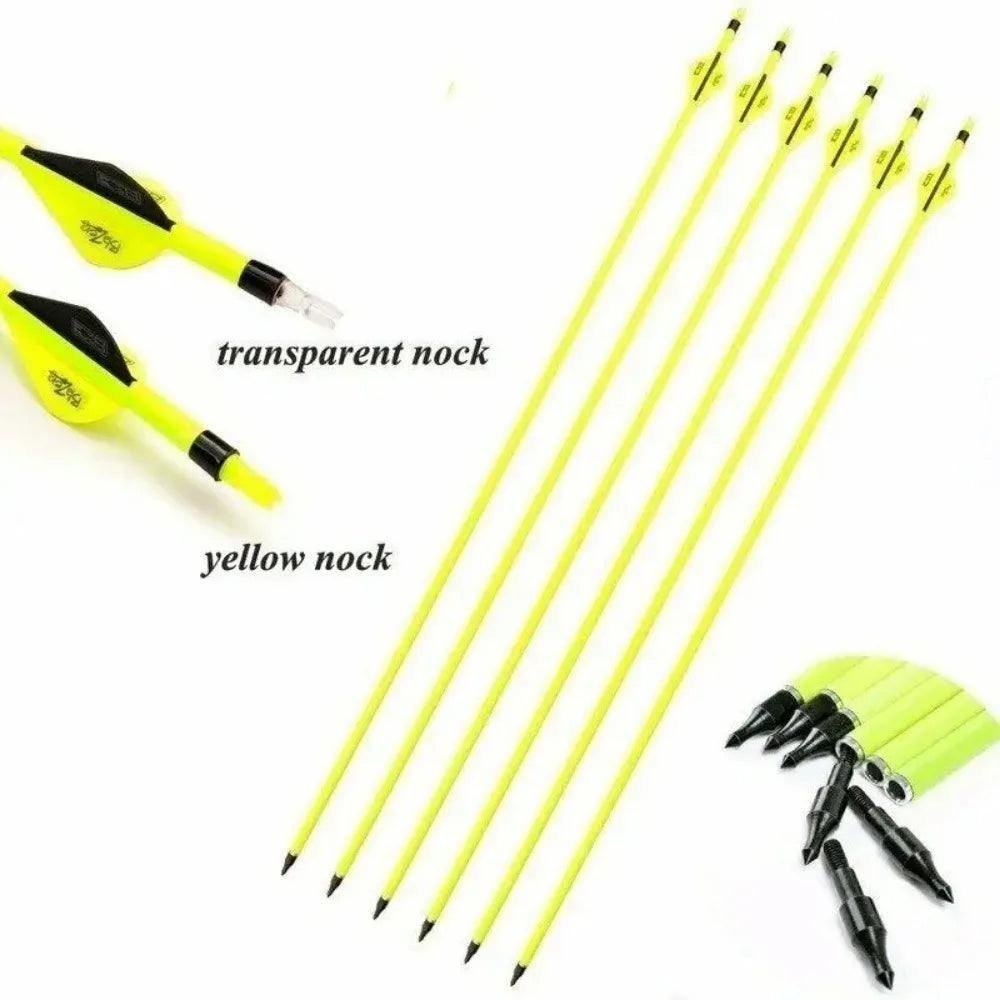 STONESKY High Quality Drop Shipping 12Pcs Archery Carbon Hunting Target Arrows 30" SP500 For Compound/Recurve Bow US