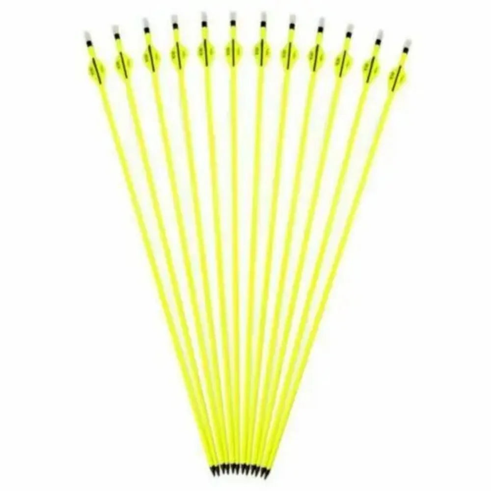 STONESKY High Quality Drop Shipping 12Pcs Archery Carbon Hunting Target Arrows 30" SP500 For Compound/Recurve Bow US