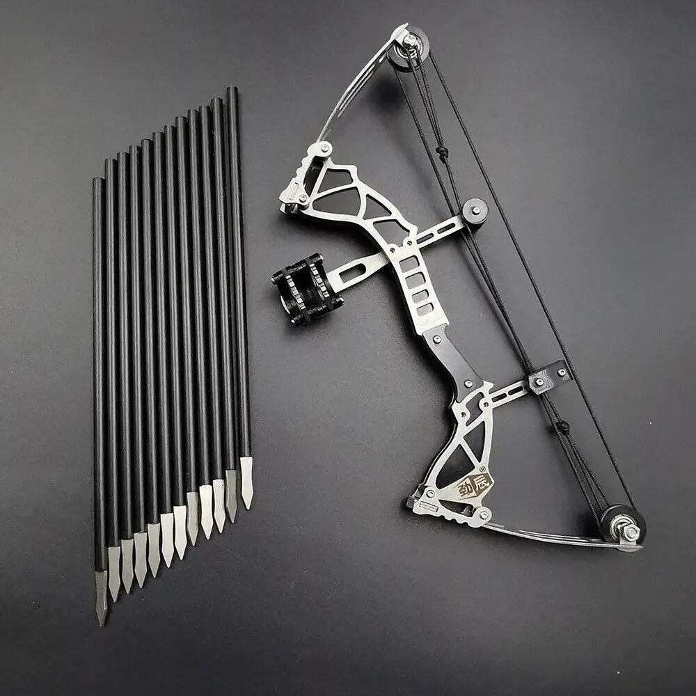 STONESKY 9.5 inch Composite Pulley Bow Kit Arrows Target Shooting Archery w/ 12Pcs Arrow hunting