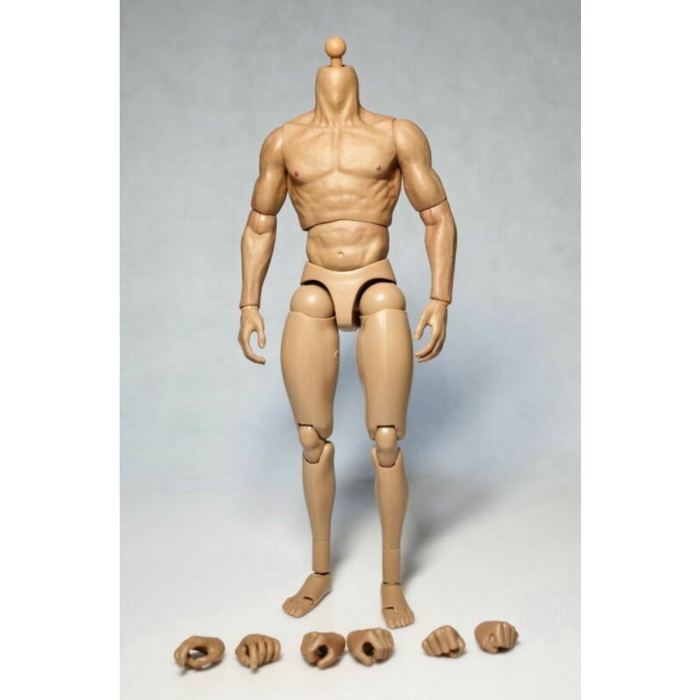 StoneSky ZC Toys 1/6 Scale 12" Nude Male Muscular Man Figure Body Model Fit HT Headsculpt