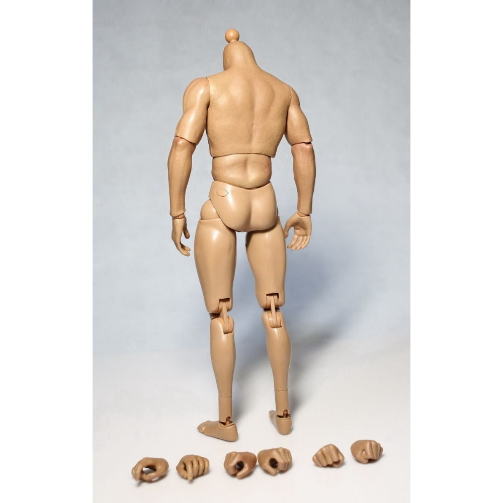 StoneSky ZC Toys 1/6 Scale 12" Nude Male Muscular Man Figure Body Model Fit HT Headsculpt