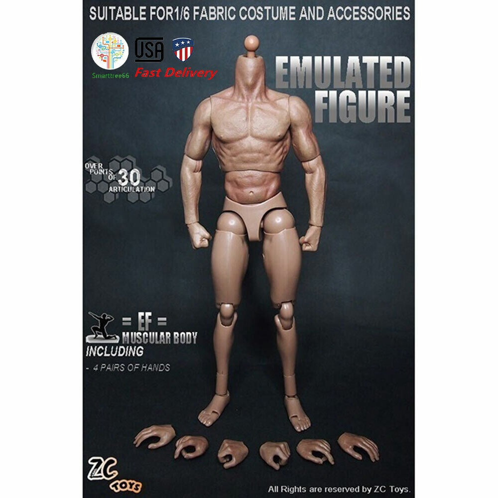 StoneSky ZC Toys 1/6 Scale 12" Nude Male Muscular Man Figure Body Model Fit HT Headsculpt